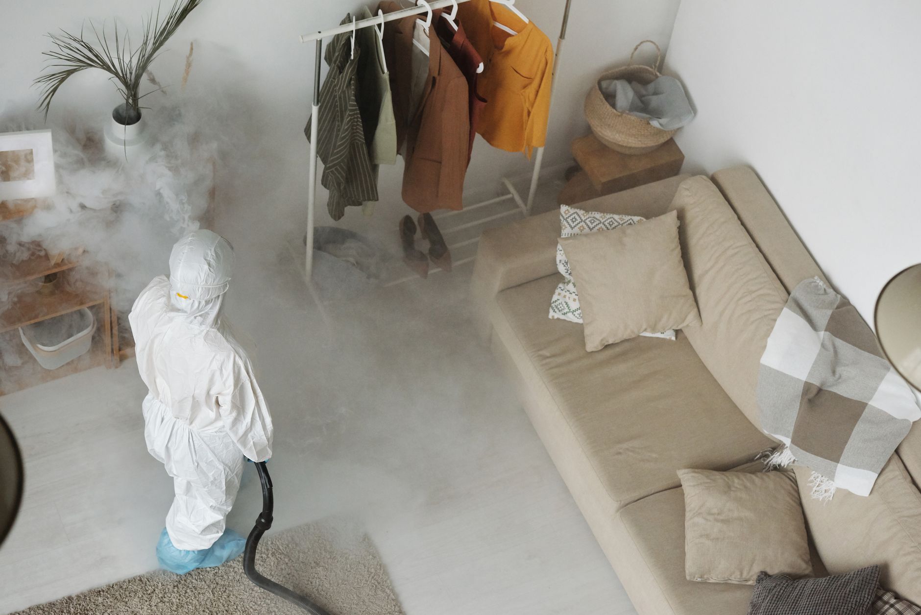 End of Lease Pest Control Sunshine Coast: Get Your Bond Back